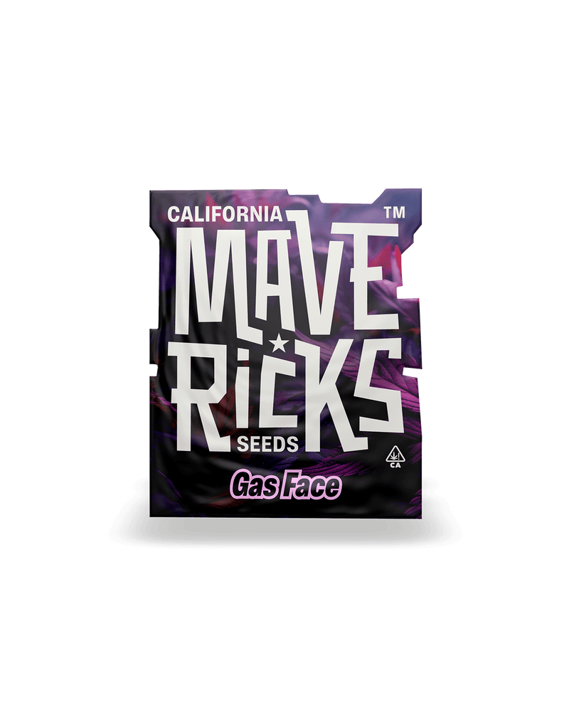 Gas Face Auto, Фасовка: 5, изображение 2